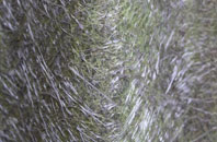 Putley Green fibreglass roof work